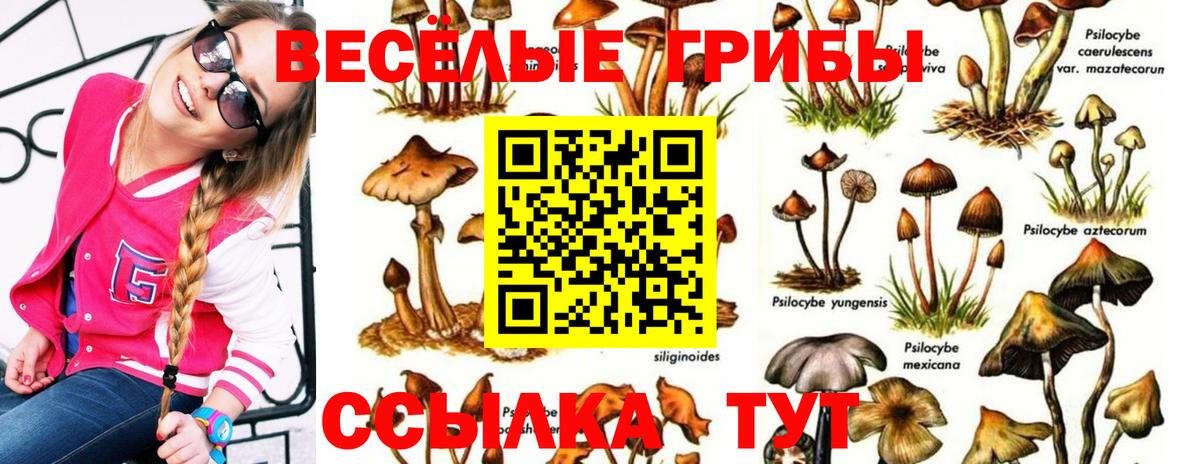 Псилоцибиновые грибы мухоморы  Вход с VPN  Пыть-Ях 